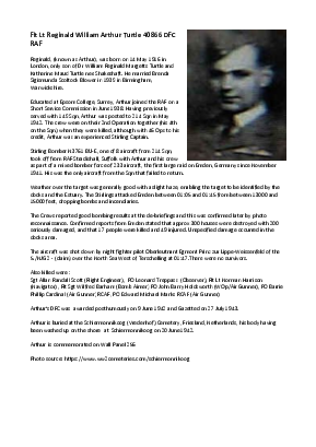 A preview of a PDF biography for Turtle, Reginald William Arthur